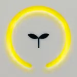 I 5 sorprendenti benefici della Camera Iperbarica: ecco cosa può curare